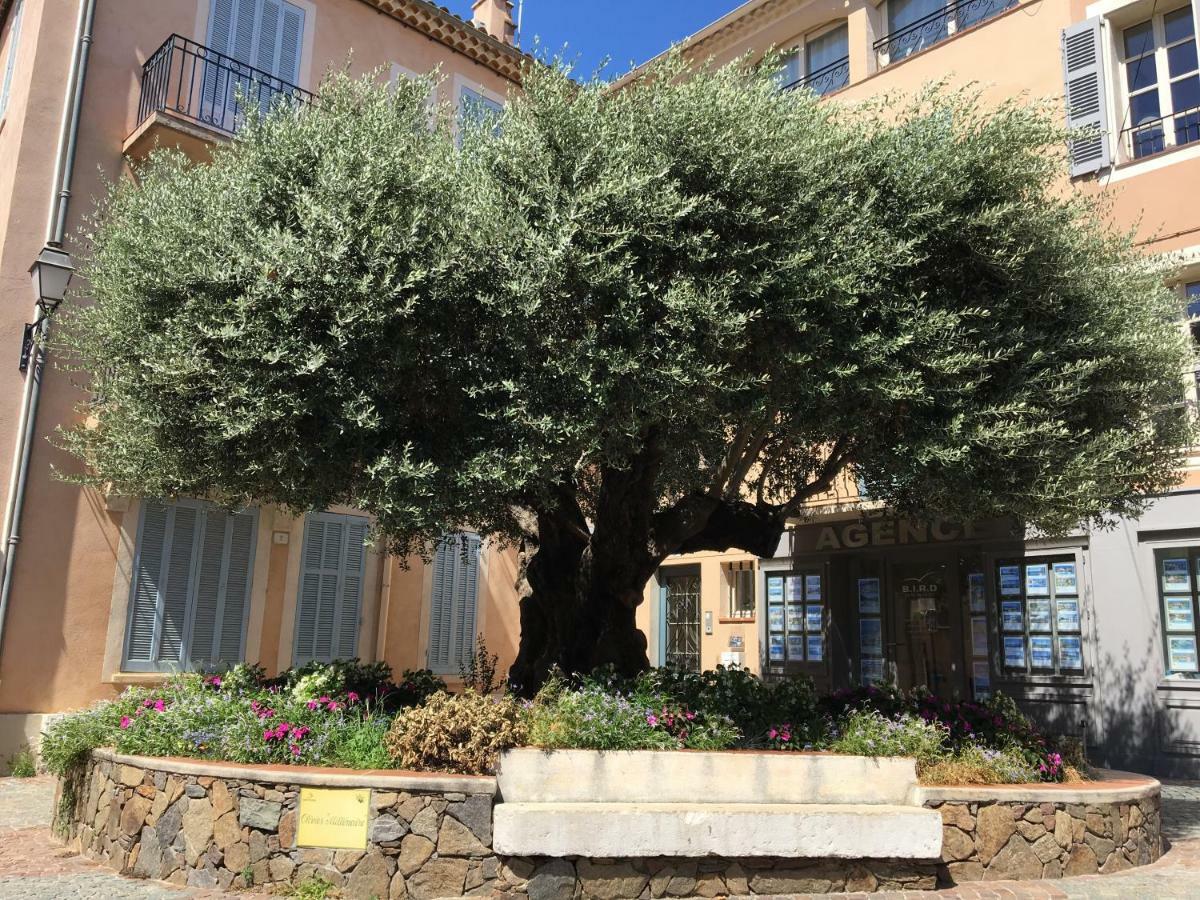Bastide Du Levant Sainte-Maxime Eksteriør bilde